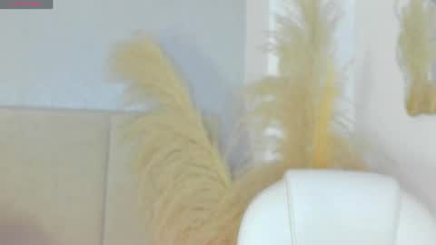 Snapshot of april_ebony18_ chatting on 04.29.26 April online show from 04.29.26