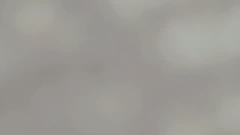 April online show from 01.15.25