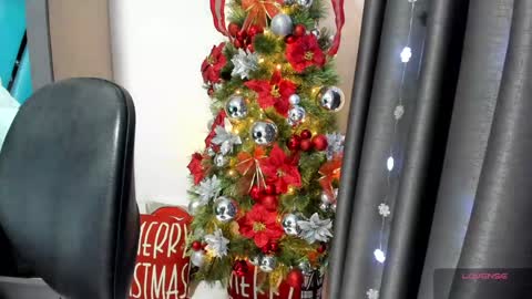 Snapshot of aprilpalmers chatting on 12.18.24 Danna online show from 12.18.24