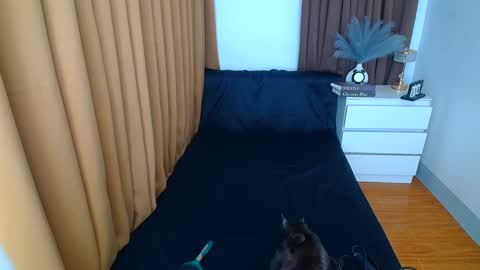 ARABELLA online show from 03.09.25