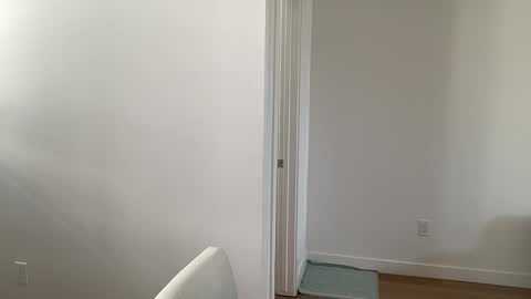 arabianprincess37 online show from 03.07.26