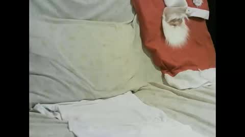 Snapshot of arabtrans2025 chatting on 01.17.25 arabtrans2025 online show from 01.17.25