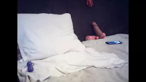 Snapshot of arabtrans2025 chatting on 11.13.25 arabtrans2025 online show from 11.13.25