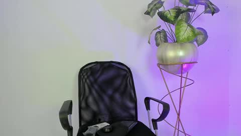   online show from 01.11.25