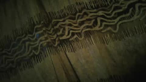 Snapshot of archkeinzas chatting on 11.24.25 olo online show from 11.24.25