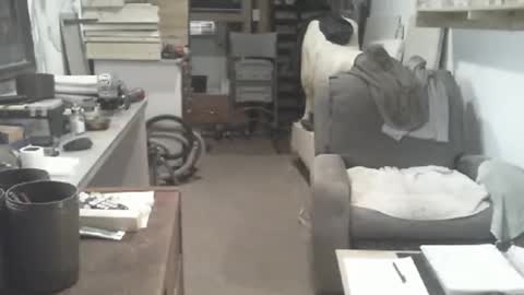 arealshowoff online show from 04.16.26