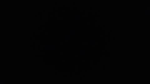 Snapshot of ares_xxxx chatting on 12.06.24 ARES online show from 12.06.24