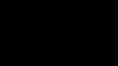 Snapshot of ares_xxxx chatting on 02.21.25 ARES online show from 02.21.25