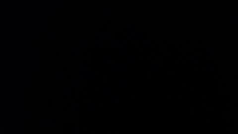 ARIANNA  online show from 01.16.26