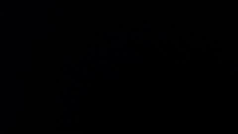 ARIANNA  online show from 03.27.26