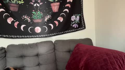 Aria Fields online show from 12.04.24