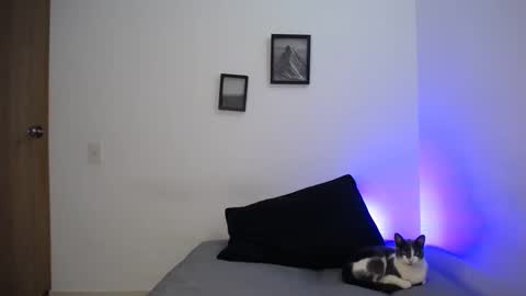 Snapshot of aria_jhonsson777 chatting on 12.19.24 777 online show from 12.19.24