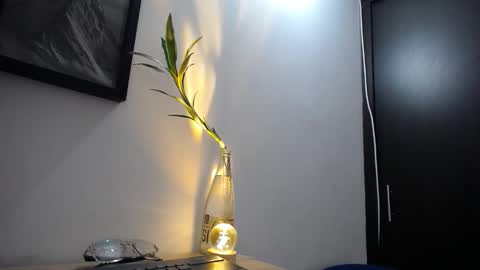 Snapshot of aria_jhonsson777 chatting on 01.10.26 777 online show from 01.10.26