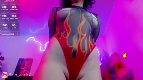 Snapshot of ariadarkk chatting on 02.13.26 Aria online show from 02.13.26