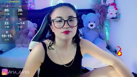 Snapshot of ariadarkk chatting on 02.23.26 Aria online show from 02.23.26