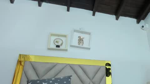  ARI  online show from 12.29.24