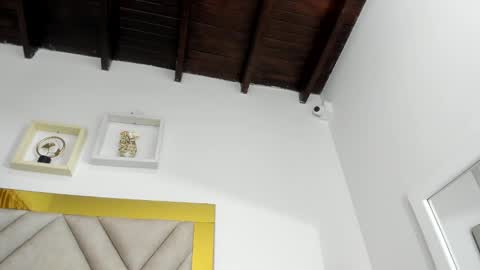  ARI  online show from 01.11.25