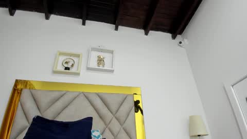  ARI  online show from 01.14.25