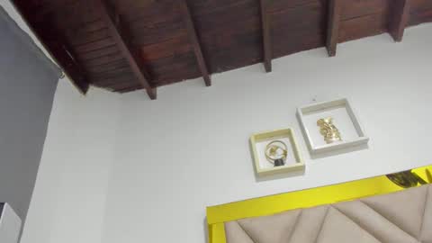  ARI  online show from 09.24.25