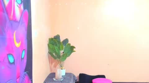 Snapshot of ariba_aribats chatting on 02.18.25 VAL online show from 02.18.25