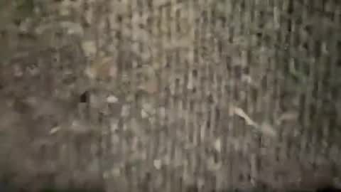 airskiii online show from 01.06.25