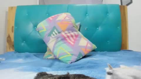 Snapshot of armanidark chatting on 09.15.25 armanidark online show from 09.15.25