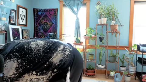 Snapshot of artiepaints chatting on 12.22.24 Artie Paints online show from 12.22.24