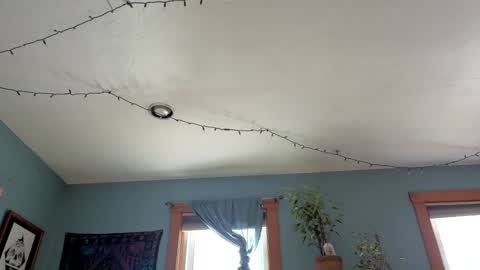 Snapshot of artiepaints chatting on 01.03.25 Artie Paints online show from 01.03.25