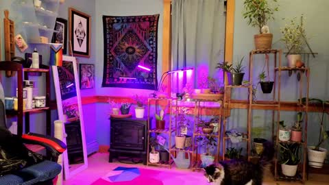 Snapshot of artiepaints chatting on 01.04.25 Artie Paints online show from 01.04.25