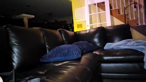 Snapshot of artiepaints chatting on 01.18.25 Artie Paints online show from 01.18.25