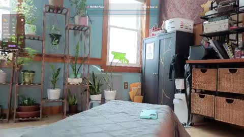 Snapshot of artiepaints chatting on 02.10.25 Artie Paints online show from 02.10.25