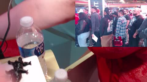 SweetAshCheeks online show from 01.19.26