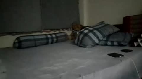 asianthai online show from 09.21.25