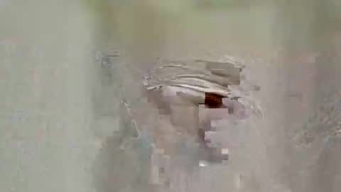 asifzamma online show from 04.25.26