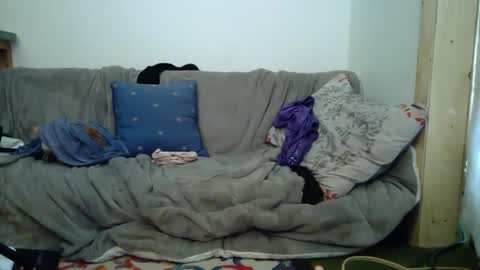 aspiringturtlegirl online show from 02.16.26