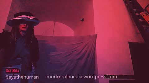 aspiringturtlegirl online show from 02.19.26