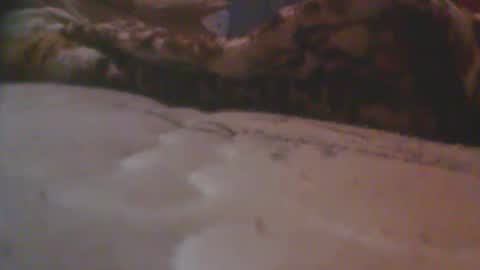Snapshot of august157432932 chatting on 05.18.26 love spouse 768785628 online show from 05.18.26