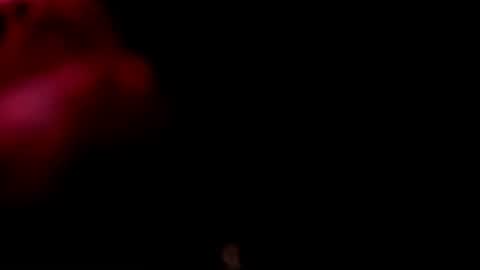 Monii Yi online show from 02.20.26