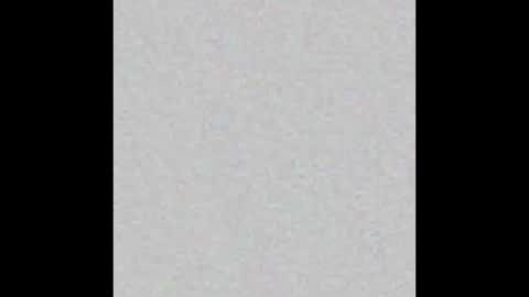 Auris online show from 01.14.26