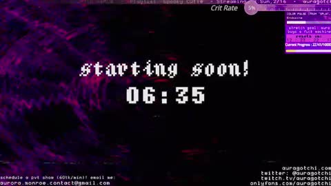 Snapshot of auragotchi chatting on 02.16.25 Aurora  Aura online show from 02.16.25