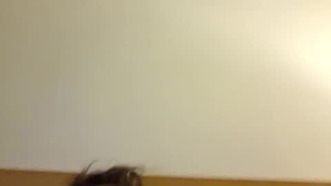 aussie_dadbod6969 online show from 05.03.26