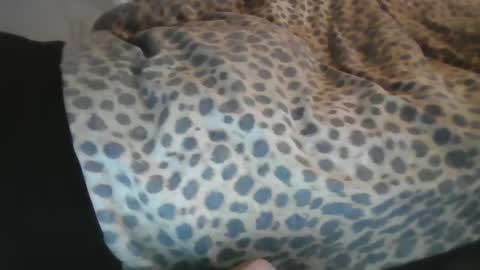 Aussiecockpumper76 online show from 03.04.25