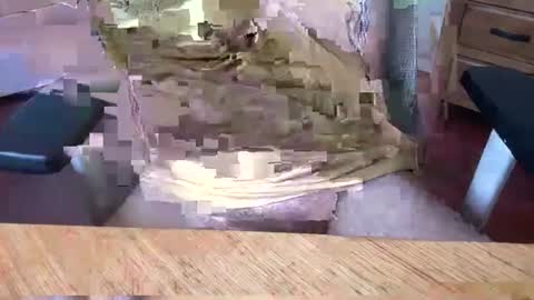 Snapshot of aussielatino82 chatting on 03.05.25 Rich online show from 03.05.25