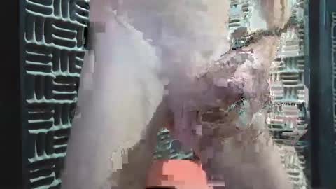 aussieraz online show from 12.16.24