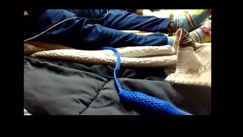 Senior Agua online show from 12.04.24