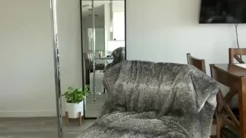 Little Ava  online show from 04.15.26