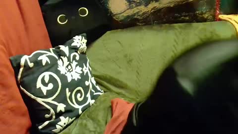 raven blue online show from 02.20.25