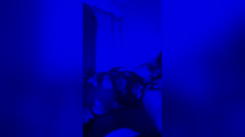averyjay3 online show from 05.06.26