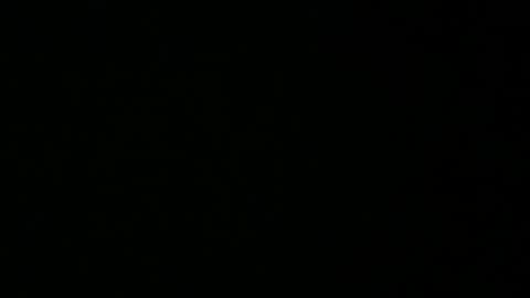 Snapshot of avg3131 chatting on 01.16.25 avg3131 online show from 01.16.25