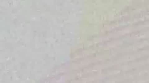 Snapshot of avgjoe555 chatting on 06.29.26 avgjoe555 online show from 06.29.26